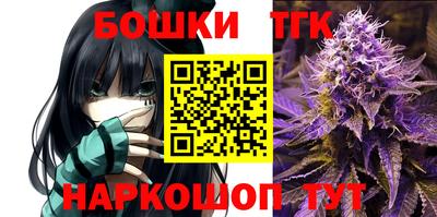 spice Обь