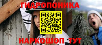 spice Обь