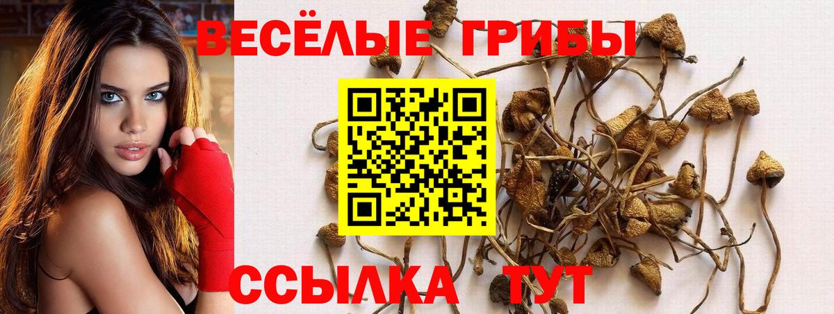 Псилоцибиновые грибы MAGIC MUSHROOMS  Вход с VPN  Сарапул 