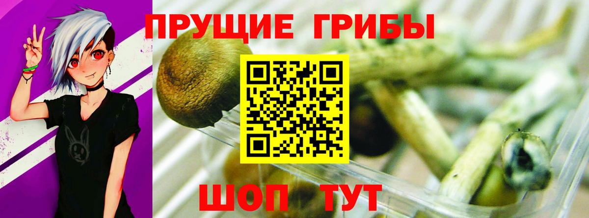 Галлюциногенные грибы Cubensis Сарапул